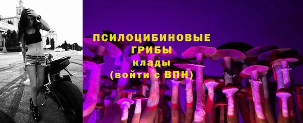 jwh Вяземский