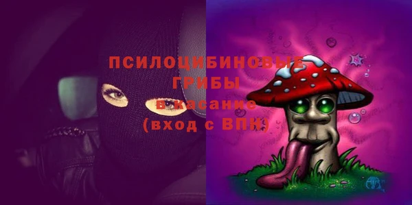 амф Вязники